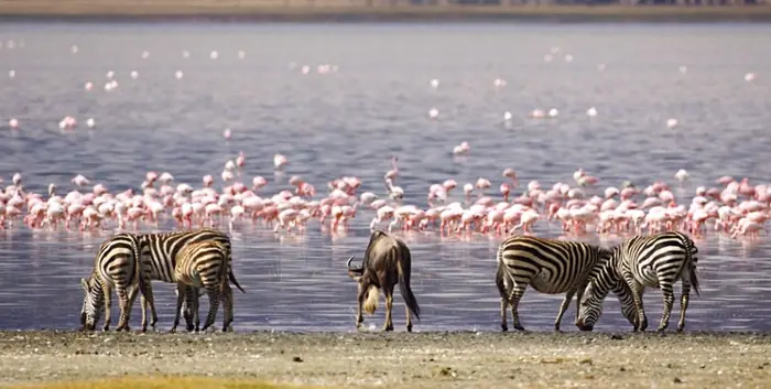 Magical Kenya and Uganda safari